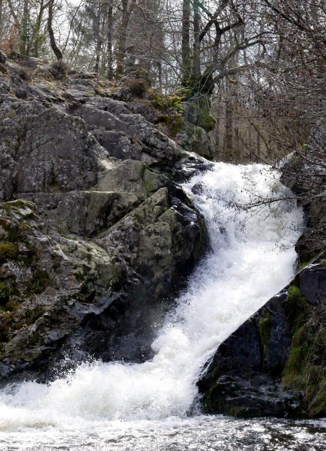 Roulotte Maisonthiers Blanot  Luaran gambar